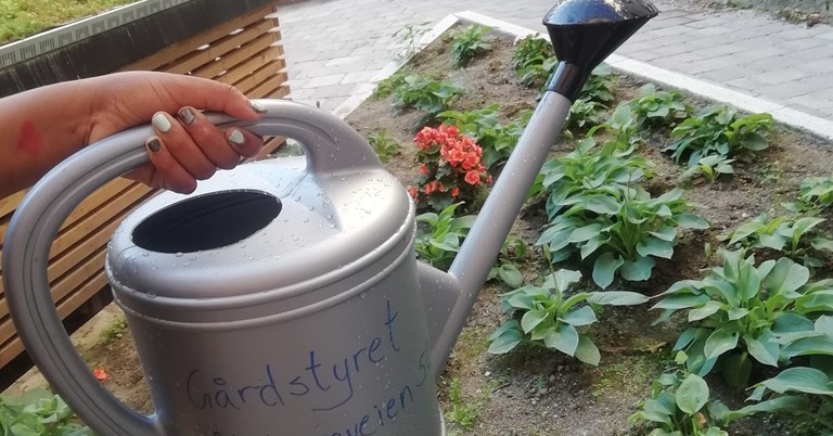 Bilde Artikkel Om Lokallaget